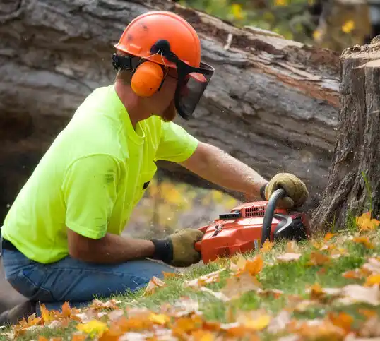 tree services Okolona